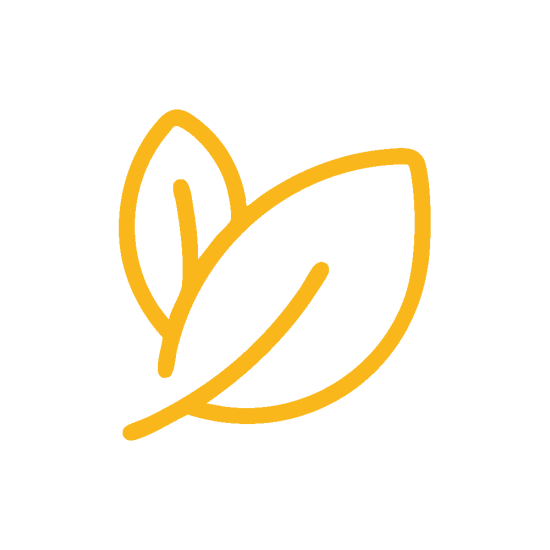 Protocolo detox
